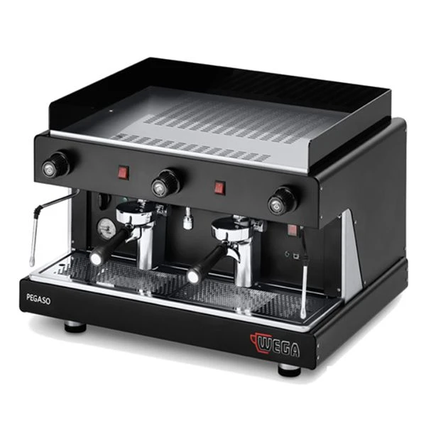 Wega Pegaso Commercial Espresso Machine