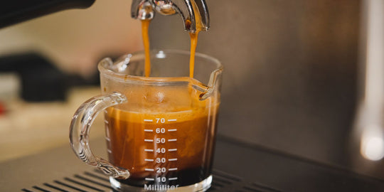 What Is Coffee Crema?
