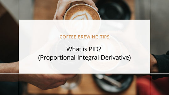 What is PID (Proportional-Integral-Derivative)? A Guide to Precision in Coffee Brewing